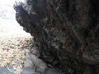 otta di Serracozzo-201100508 037